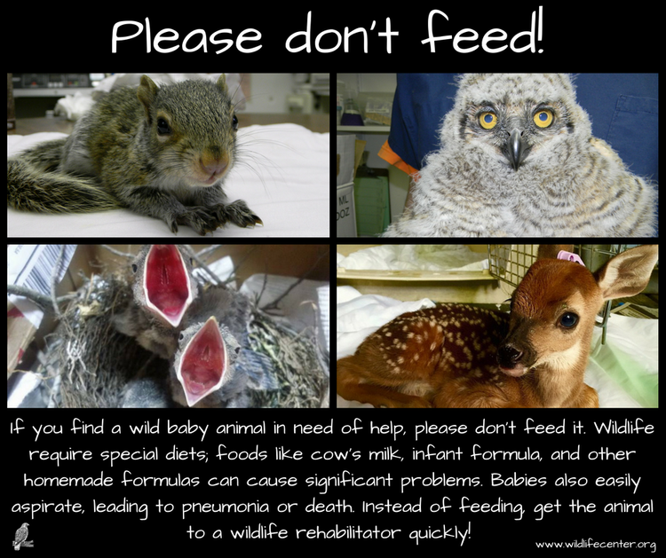 Don'tFeed