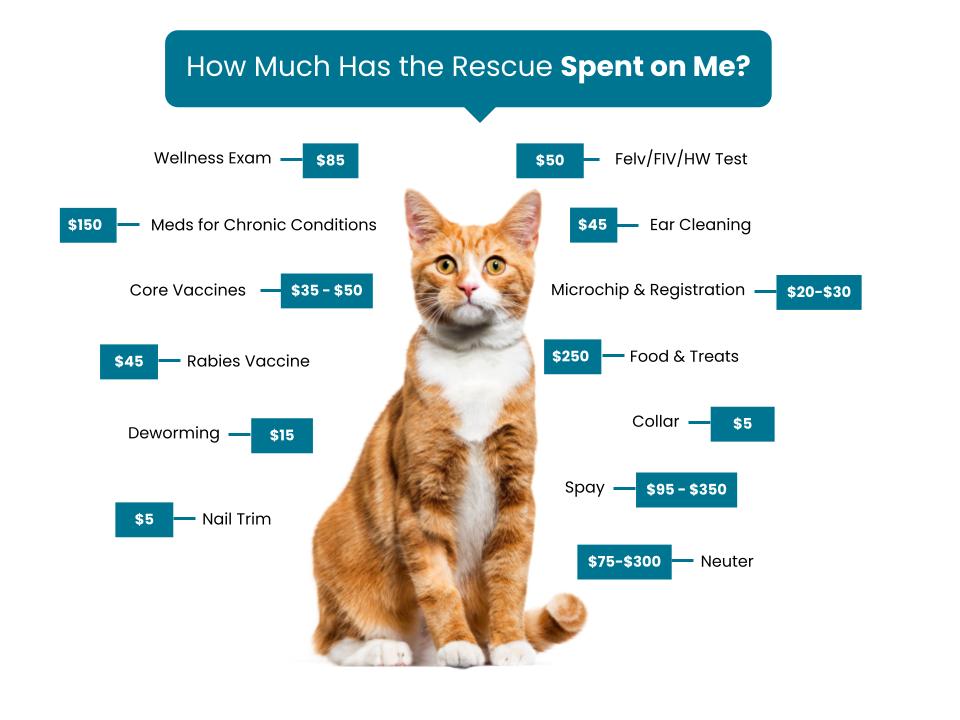 Windmill Animal Rescue - Fee Graphic